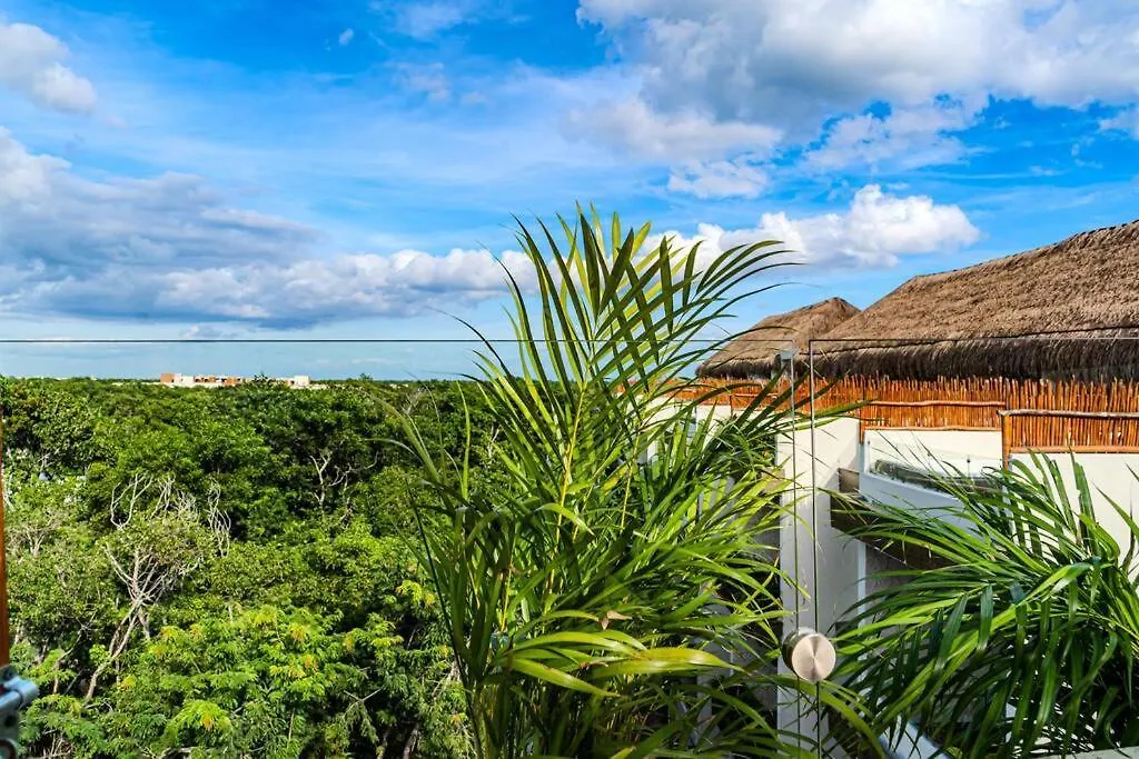 Ph With Private Pool And Bikes Apartment Tulum 0*,  Mexico