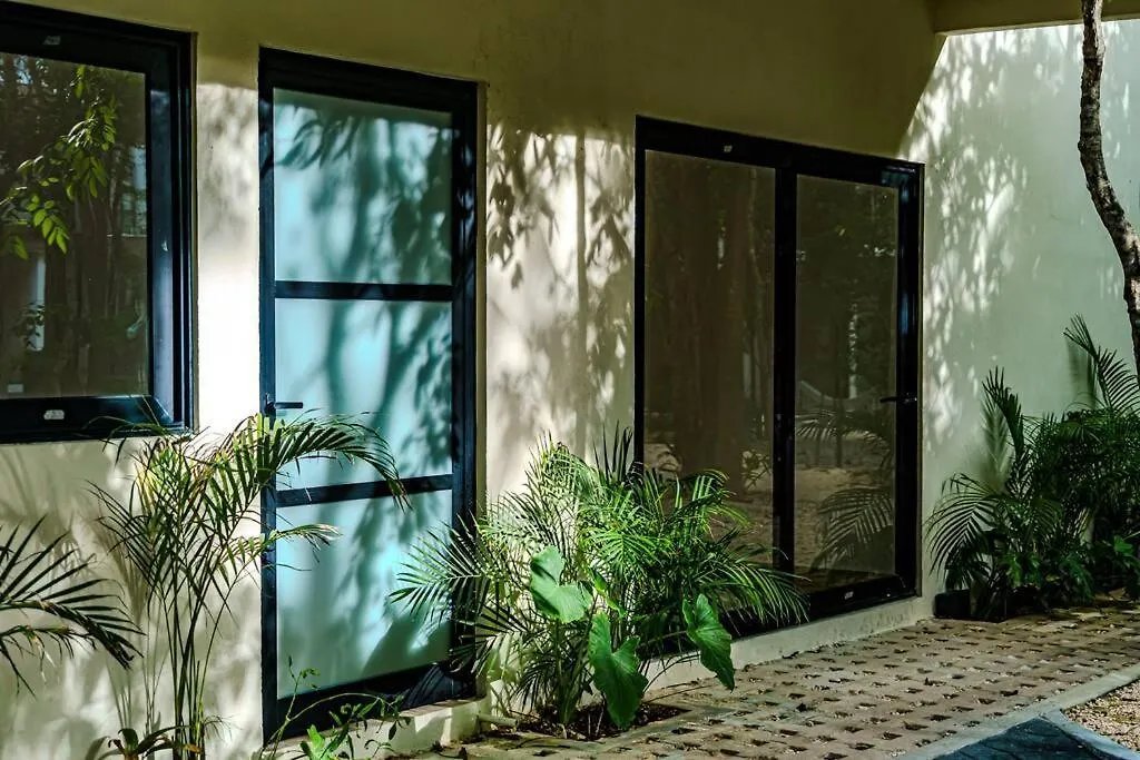 Ph With Private Pool And Bikes Apartment Tulum