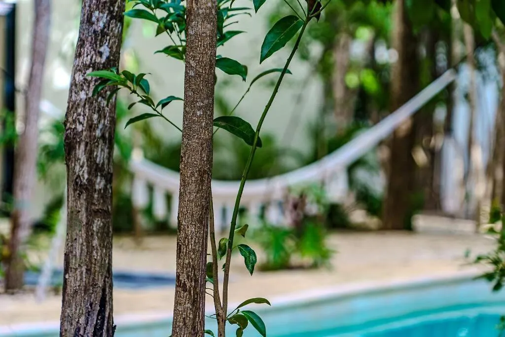 Ph With Private Pool And Bikes Apartment Tulum
