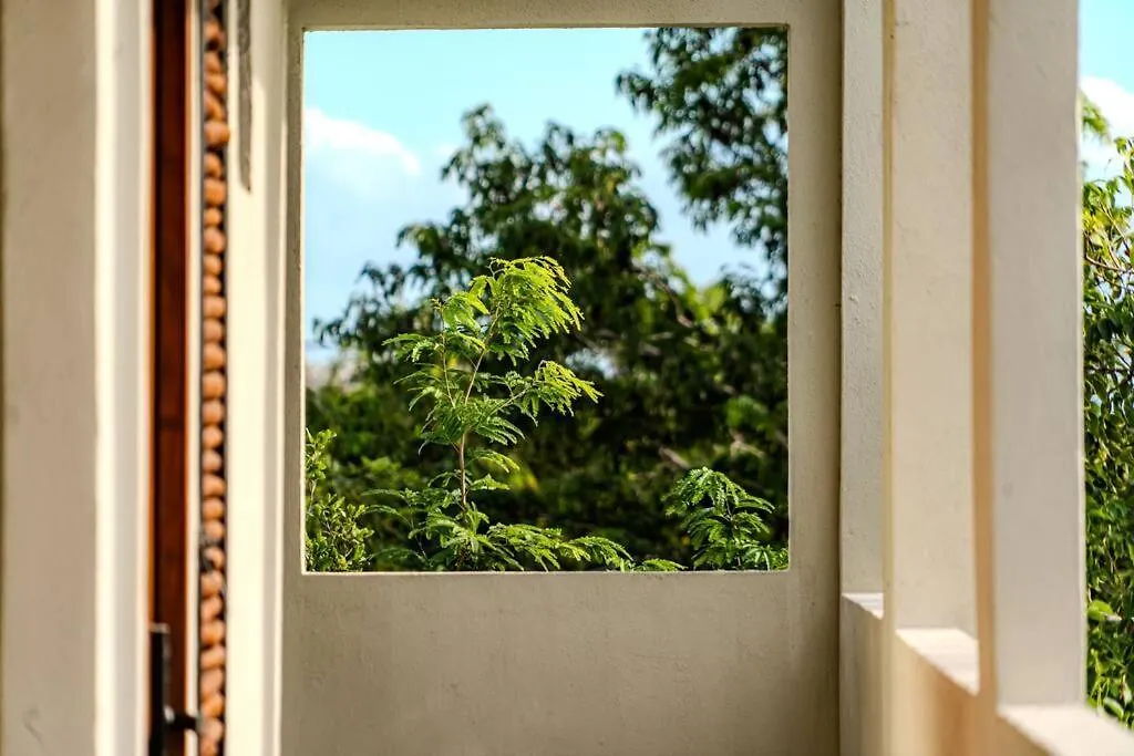 Ph With Private Pool And Bikes Apartment Tulum