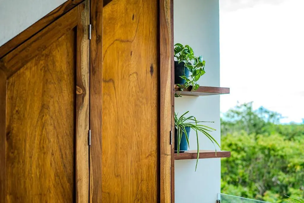 Ph With Private Pool And Bikes Apartment Tulum 0*,
