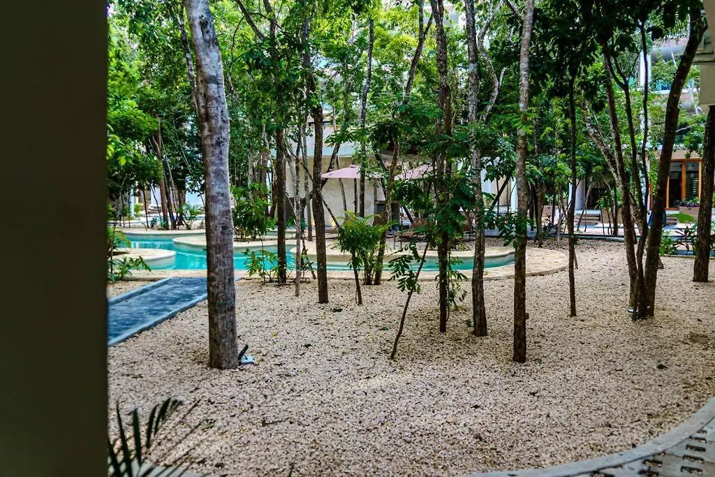 Ph With Private Pool And Bikes Apartment Tulum