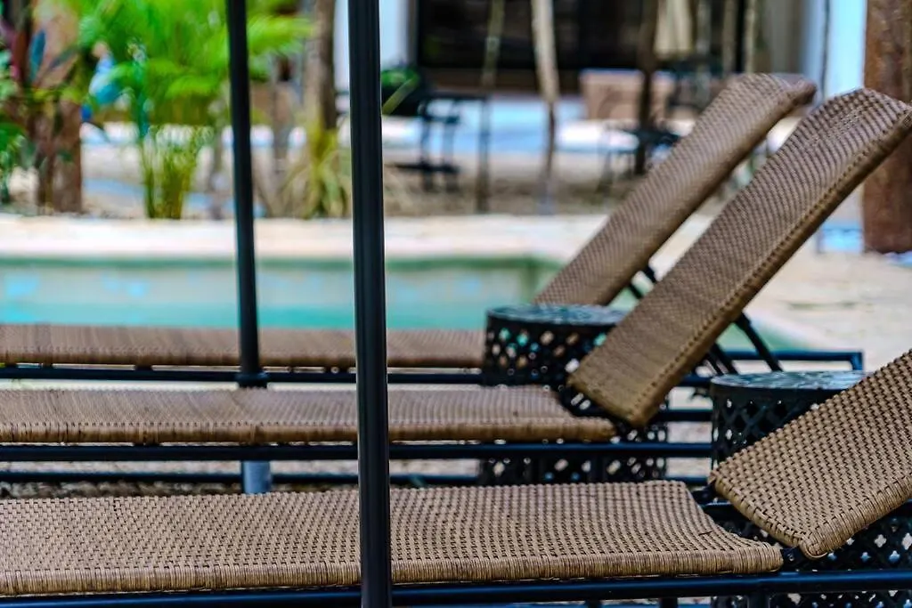 Ph With Private Pool And Bikes Apartment Tulum