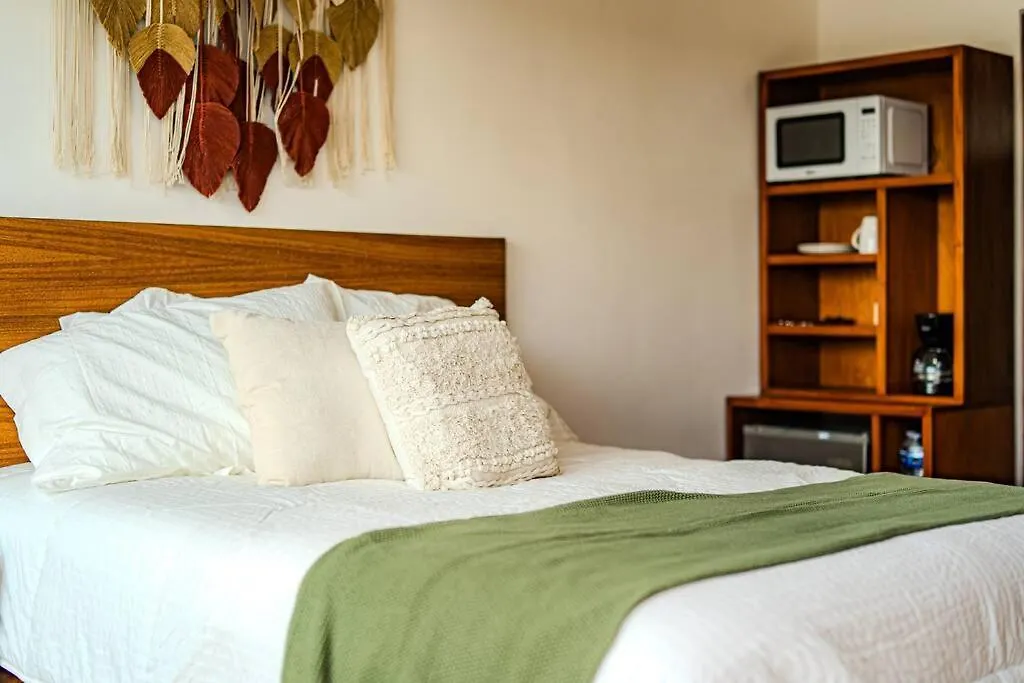Ph With Private Pool And Bikes Apartment Tulum